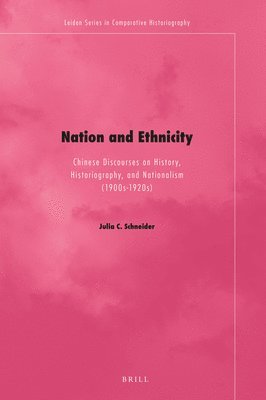 bokomslag Nation and Ethnicity