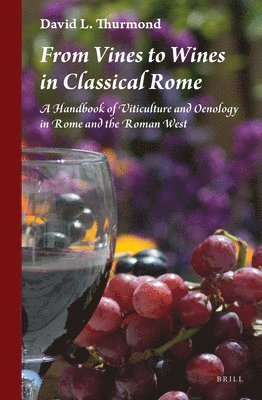 bokomslag From Vines to Wines in Classical Rome
