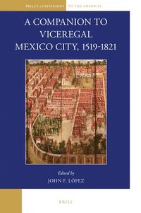 bokomslag A Companion to Viceregal Mexico City, 1519-1821