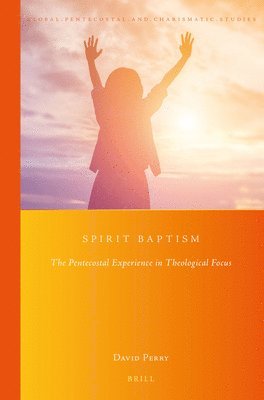 bokomslag Spirit Baptism