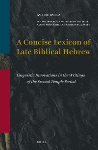 bokomslag Concise Lexicon of Late Biblical Hebrew