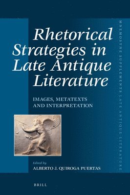 bokomslag Rhetorical Strategies in Late Antique Literature