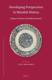 bokomslag Developing Perspectives in Mamluk History