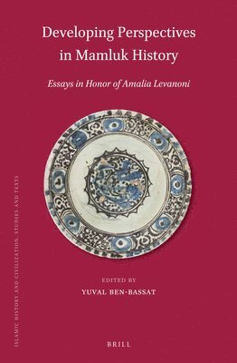 bokomslag Developing Perspectives in Mamluk History