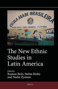 bokomslag The New Ethnic Studies in Latin America