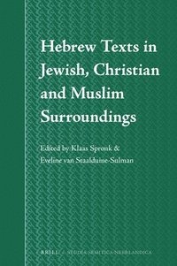 bokomslag Hebrew Texts in Jewish, Christian and Muslim Surroundings