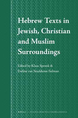 bokomslag Hebrew Texts in Jewish, Christian and Muslim Surroundings