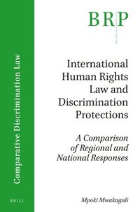 bokomslag International Human Rights Law and Discrimination Protections