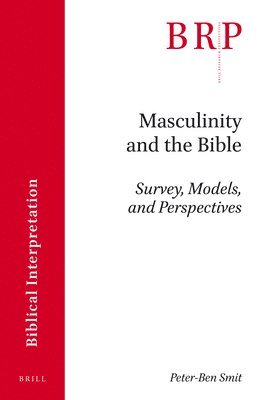 bokomslag Masculinity and the Bible: Survey, Models, and Perspectives