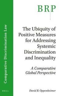 bokomslag Ubiquity of Positive Measures for Addressing Systemic Discrimination and Inequality