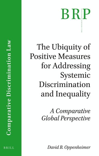 David Oppenheimer - Ubiquity of Positive Measures for Addressing Systemic Discrimination and Inequality, Häftad