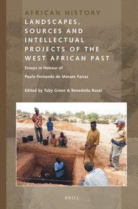 bokomslag Landscapes, Sources and Intellectual Projects of the West African Past