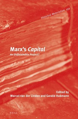 bokomslag Marx's Capital: An Unfinishable Project?