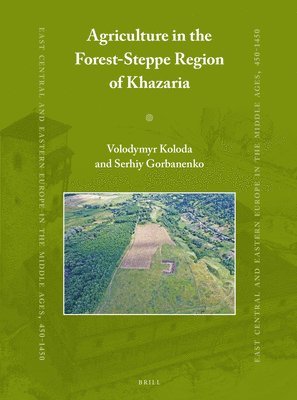 bokomslag Agriculture in the Forest-Steppe Region of Khazaria