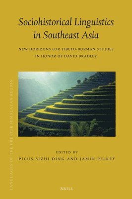 Picus Sizhi Ding - Sociohistorical Linguistics in Southeast Asia, Inbunden