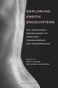 bokomslag Exploring Erotic Encounters