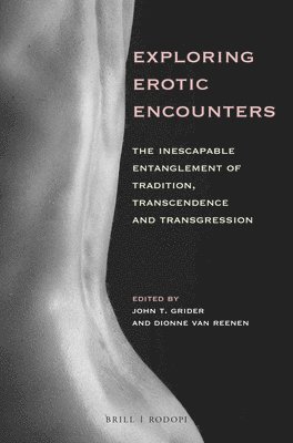 bokomslag Exploring Erotic Encounters