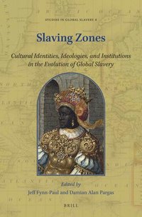 bokomslag Slaving Zones: Cultural Identities, Ideologies, and Institutions in the Evolution of Global Slavery