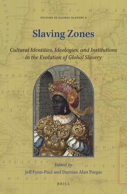 bokomslag Slaving Zones: Cultural Identities, Ideologies, and Institutions in the Evolution of Global Slavery