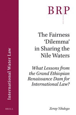 Zeray Yihdego - Fairness ‘Dilemma’ in Sharing the Nile Waters, Häftad
