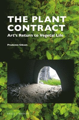 bokomslag Plant Contract