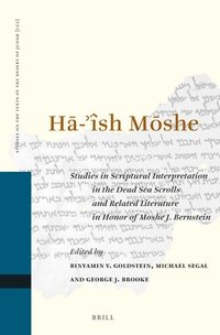 bokomslag H?-'ÎSH M?SHE: Studies in Scriptural Interpretation in the Dead Sea Scrolls and Related Literature in Honor of Moshe J. Bernstein
