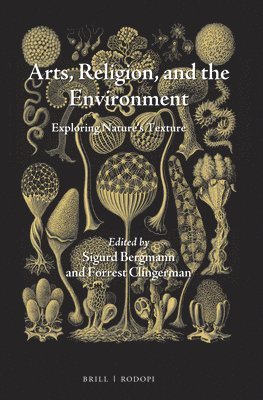bokomslag Arts, Religion, and the Environment