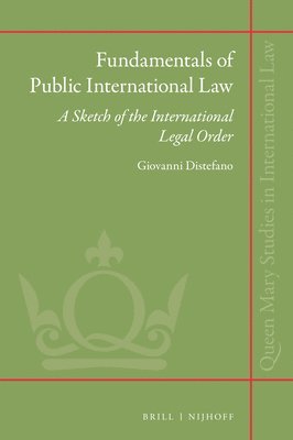 bokomslag Fundamentals of Public International Law