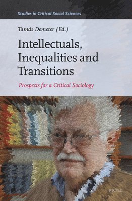 bokomslag Intellectuals, Inequalities and Transitions: Prospects for a Critical Sociology