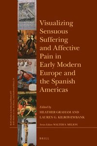 bokomslag Visualizing Sensuous Suffering and Affective Pain in Early Modern Europe and the Spanish Americas