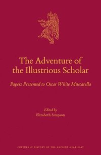 bokomslag The Adventure of the Illustrious Scholar