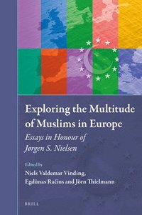 bokomslag Exploring the Multitude of Muslims in Europe
