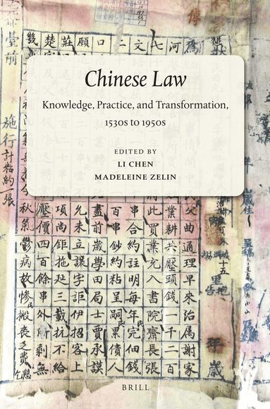 Li Chen, Madeleine Zelin - Chinese Law, Häftad