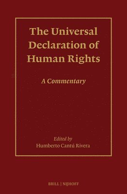 bokomslag The Universal Declaration of Human Rights