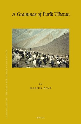 bokomslag Grammar of Purik Tibetan