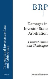 bokomslag Damages in Investor-State Arbitration