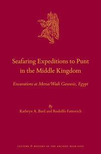 bokomslag Seafaring Expeditions to Punt in the Middle Kingdom