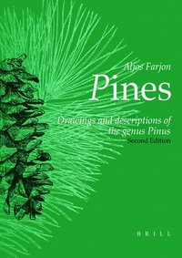bokomslag Pines, 2nd revised edition