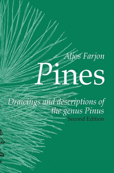 Aljos Farjon - Pines, 2nd revised edition, Häftad