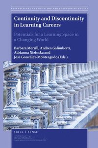 bokomslag Continuity and Discontinuity in Learning Careers