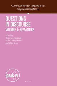 bokomslag Questions in Discourse