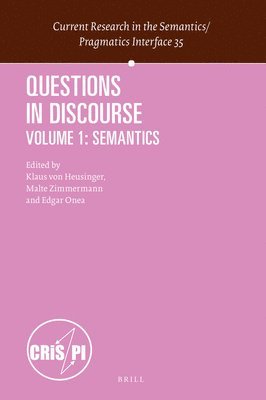 bokomslag Questions in Discourse