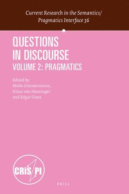 bokomslag Questions in Discourse