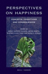 bokomslag Perspectives on Happiness