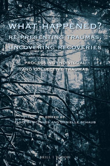 Elspeth McInnes, Danielle Schaub - What Happened? Re-presenting Traumas, Uncovering Recoveries, Häftad