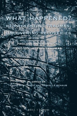 bokomslag What Happened? Re-presenting Traumas, Uncovering Recoveries