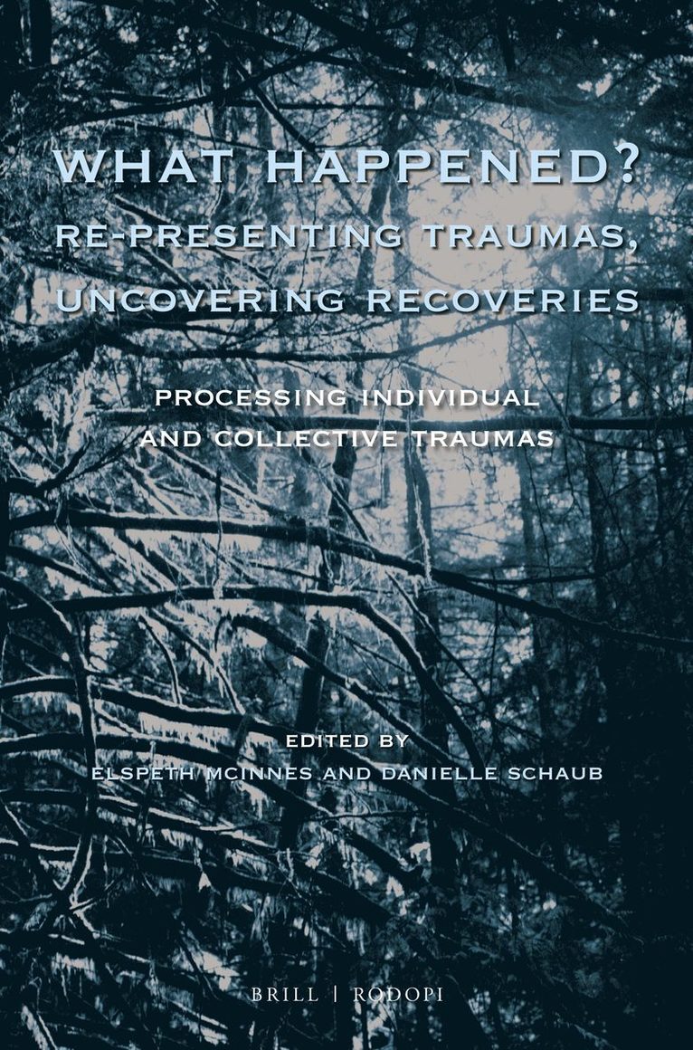 Elspeth McInnes, Danielle Schaub - What Happened? Re-presenting Traumas, Uncovering Recoveries, Häftad
