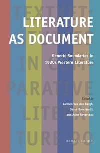 bokomslag Literature as Document