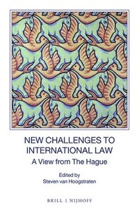 bokomslag New Challenges to International Law