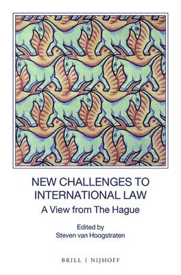 bokomslag New Challenges to International Law
